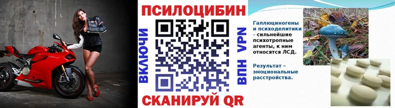 дарнет шоп Североуральск Псилоцибиновые грибы мицелий