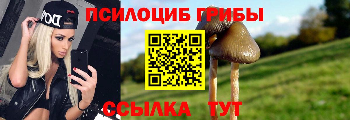 Псилоцибиновые грибы Cubensis  купить закладку  Североуральск  Вход с VPN  Псилоцибиновые грибы мухоморы 